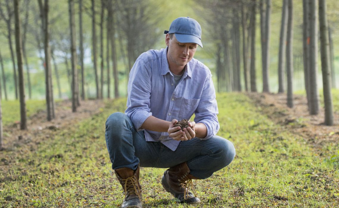 blog-mansoil